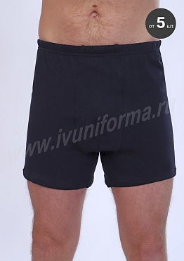 Трусы мужские утепленные арт. ТР-19-03-ФУТ